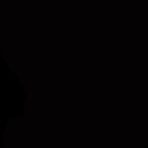 Meet your Posher, Alliyah